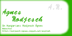 agnes modjesch business card